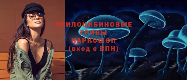 герыч Алексин