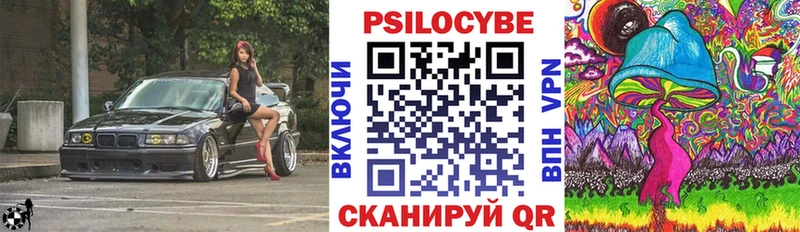 Купить где  Амурск  Псилоцибиновые грибы Psilocybe 